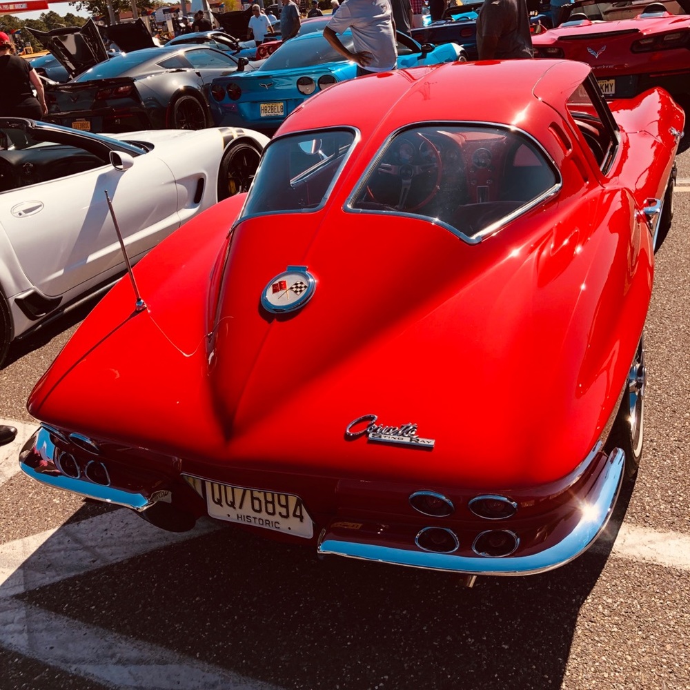 Meet your Posher, Samuel